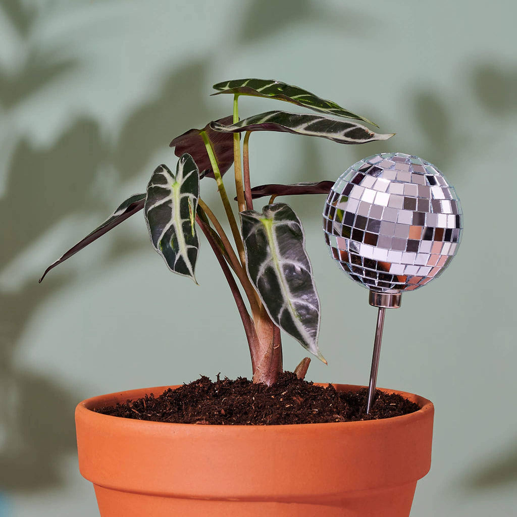 mirror ball plant pot 3" Disco Ball Plant Stake – Pink Fern