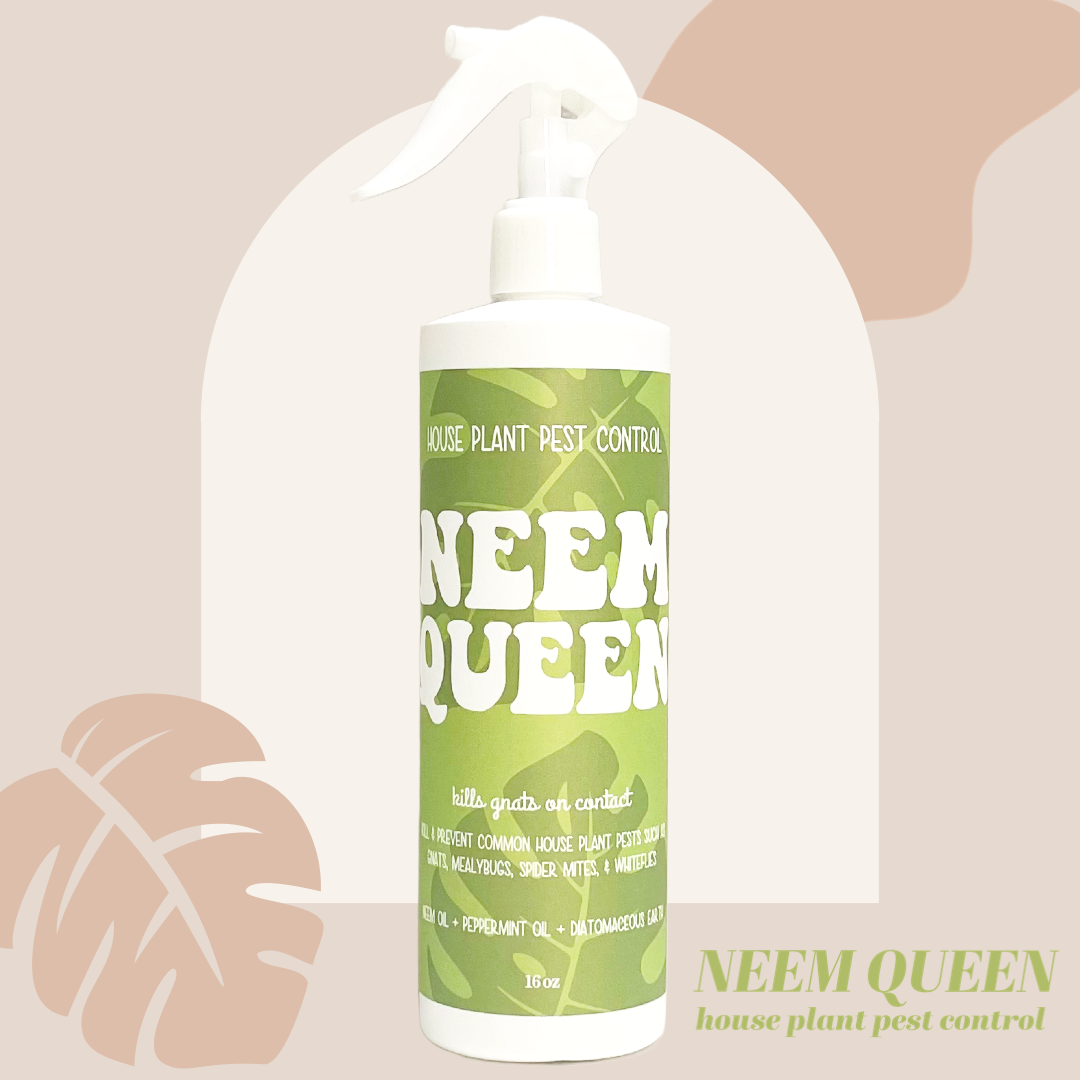 house plant pest control Neem Queen