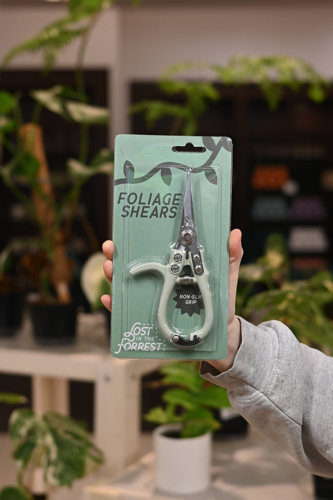 Foliage shears with sage green handles held in front of a plant-themed background