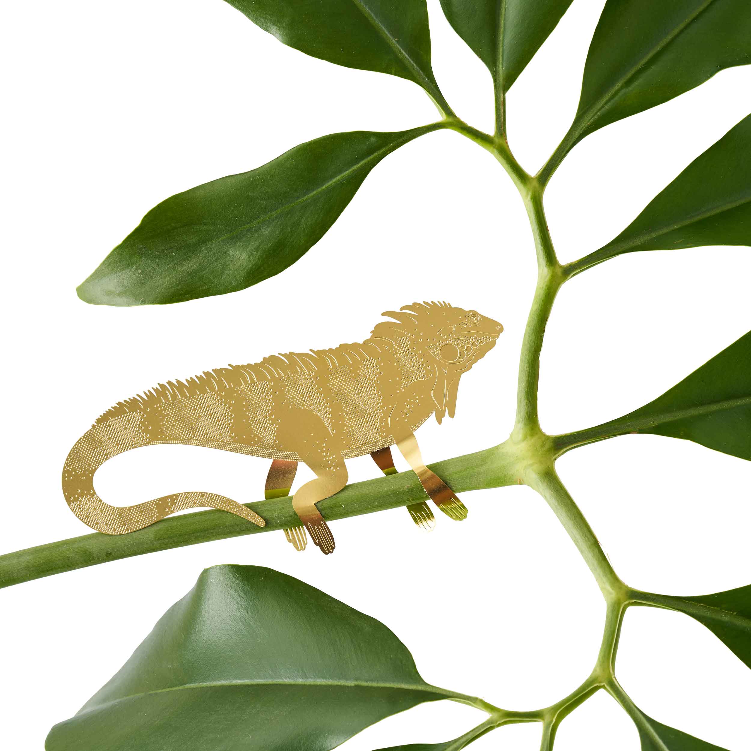 plant hanging animals Lg. Plant Animal