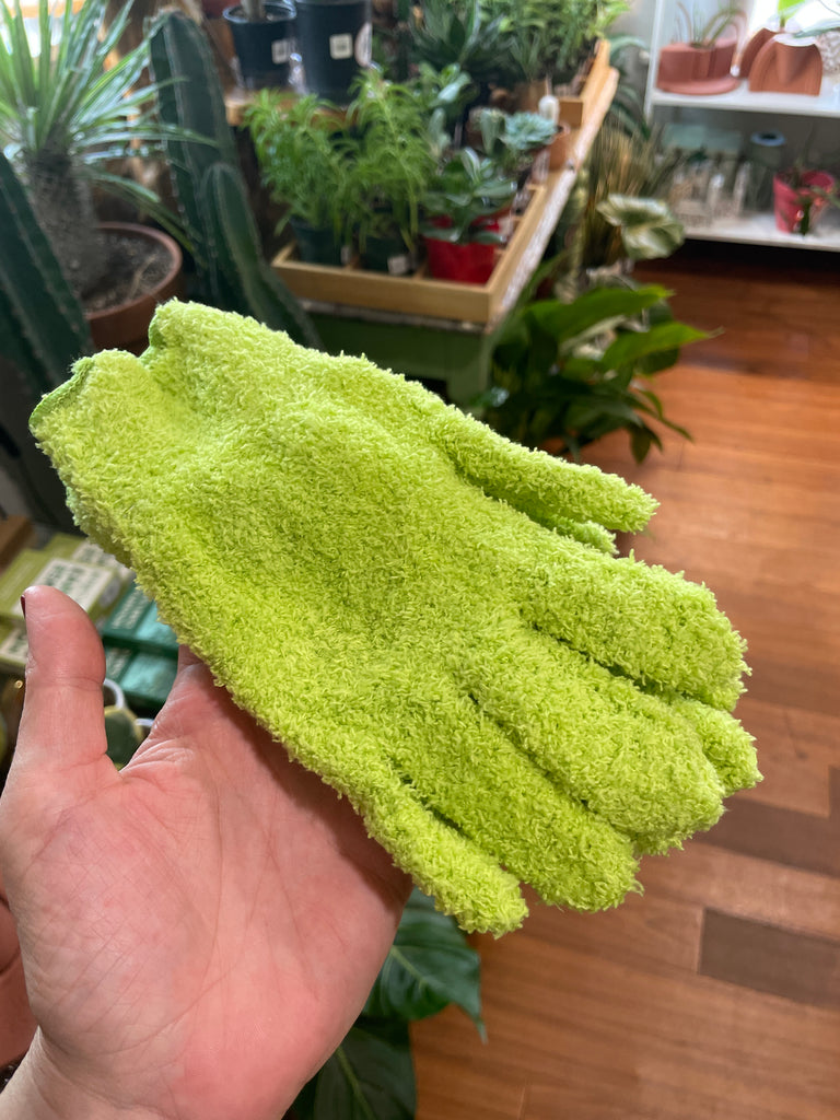 A hand holding a green microfiber glove in a store with various plants in the background.